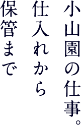 小山園の仕事。仕入れから保管まで